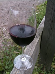 Bild från DinVinguide