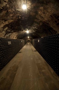 Bild från DinVinguide