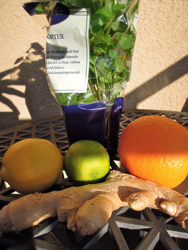 Bild från DinVinguide