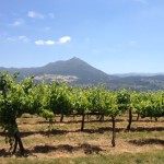 Bild från DinVinguide