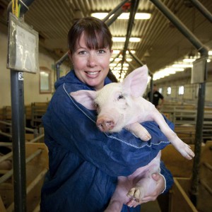Karoline Nordefors med griskulting på Havor Gård Gotland med Svenskt Kött