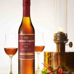 Bild från DinVinguide