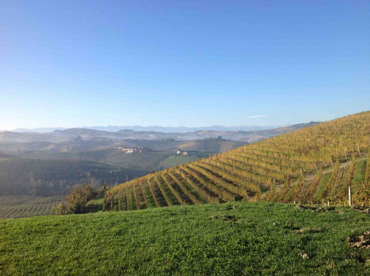 Årgång 2010 som kommer släppas är kanske den bästa någonsin