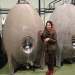 Bild från DinVinguide