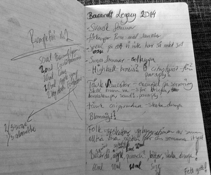 Mattias Skoog nordisk finalist Bacardi Legacy 2014 nordefors.com