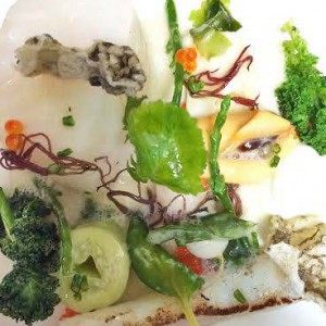 Johan Backéus, frilans, Stockholm - Havssjuden skreirygg och halstrat slag med rökt pilgrimsmussla, kål och råkräm med pepparrot, serveras med musseldressing