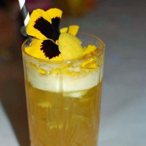 Fredrik Lundegårds vinnardrink i semifinalen Årets Bartender 2014 nordefors.com