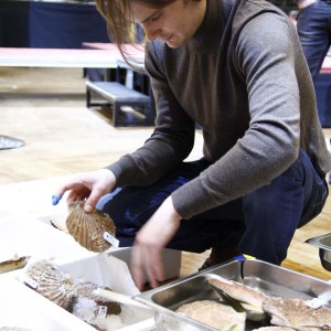 Filip Fastén Årets Kock 2014 Foto: Karoline Nordefors nordefors.com