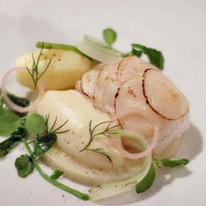 Sebastian Thureson, F12-Fredsgatan 12, Stockholm - Mjölkpocherad skrei med sotad pilgrimsmussla, brandade, rotselleri och sås på rökt pilgrimsmusselrom