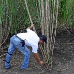 Bild från DinVinguide