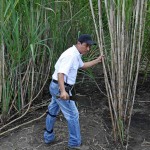 Bild från DinVinguide