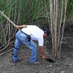 Bild från DinVinguide