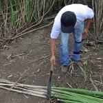 Bild från DinVinguide