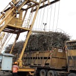 Bild från DinVinguide