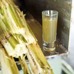 Bild från DinVinguide