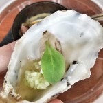 Bild från DinVinguide