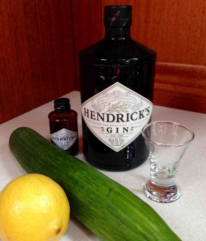Hendrick´s gin