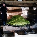 Bild från DinVinguide