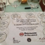 Bild från DinVinguide