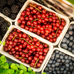 Vin möter mat 2014 FOTO: Raphael Cameron Vanity Studios