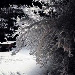 Bild från DinVinguide