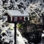 Bild från DinVinguide