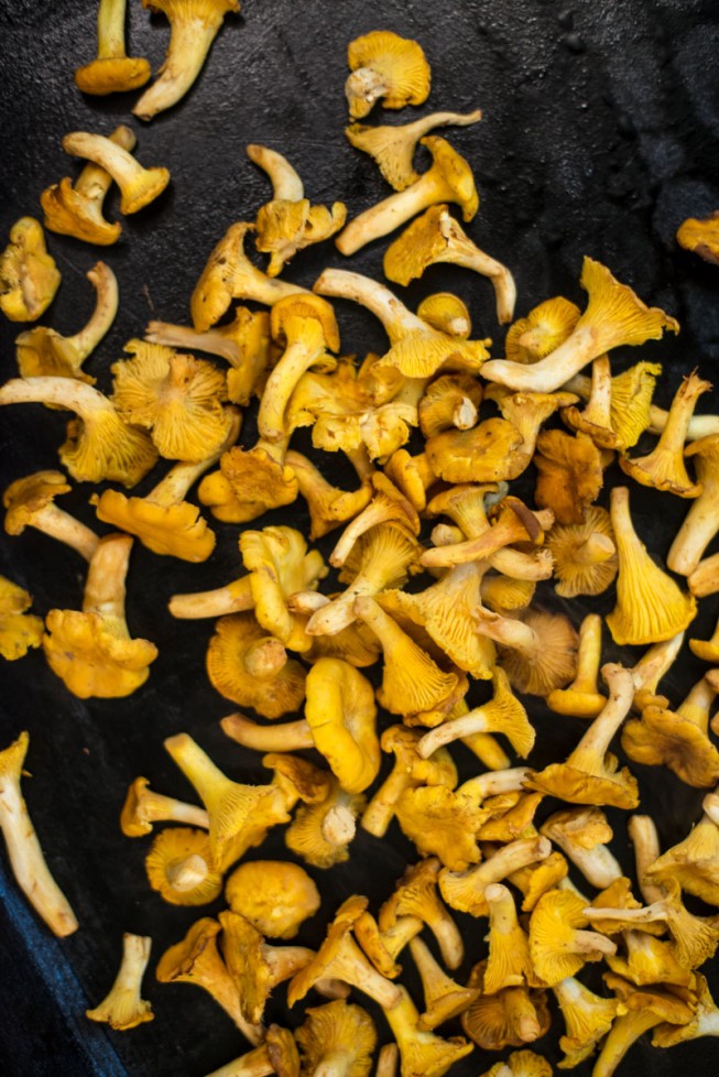 Kantareller med jordärtskocka, äggcréme och brynt smör