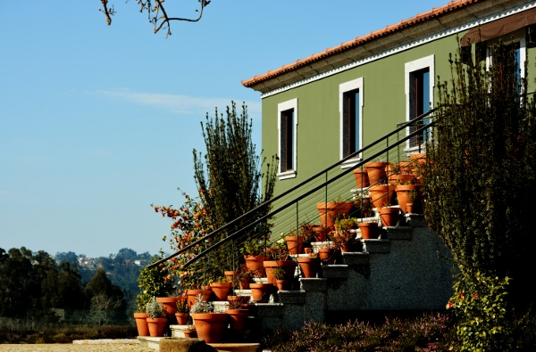 Monverde Wine Experience Hotel