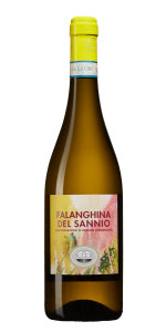 Bild från DinVinguide