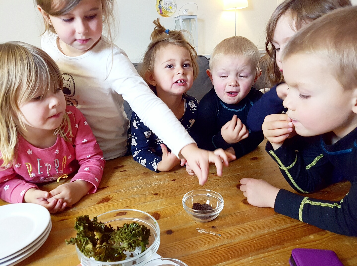 Bild från DinVinguide