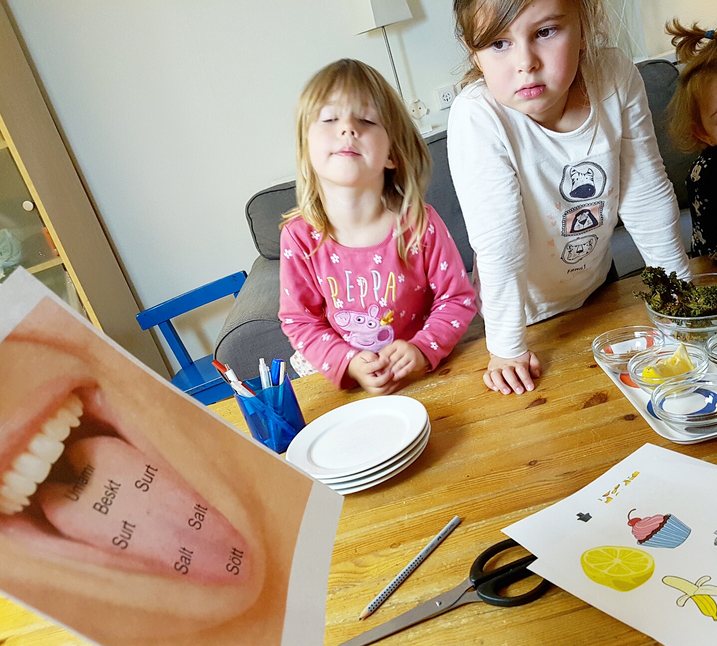 Bild från DinVinguide