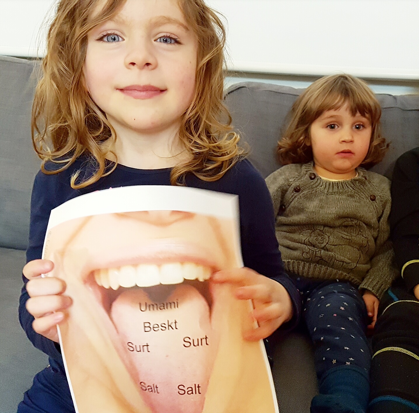 Bild från DinVinguide