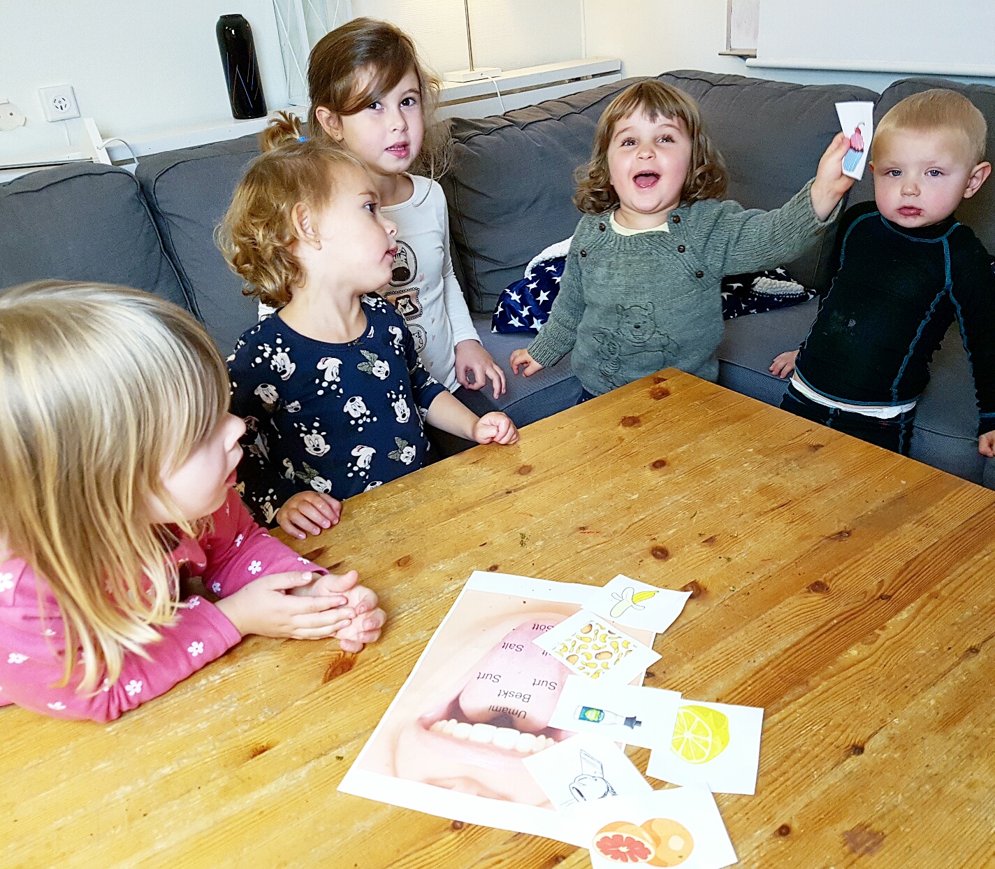 Bild från DinVinguide