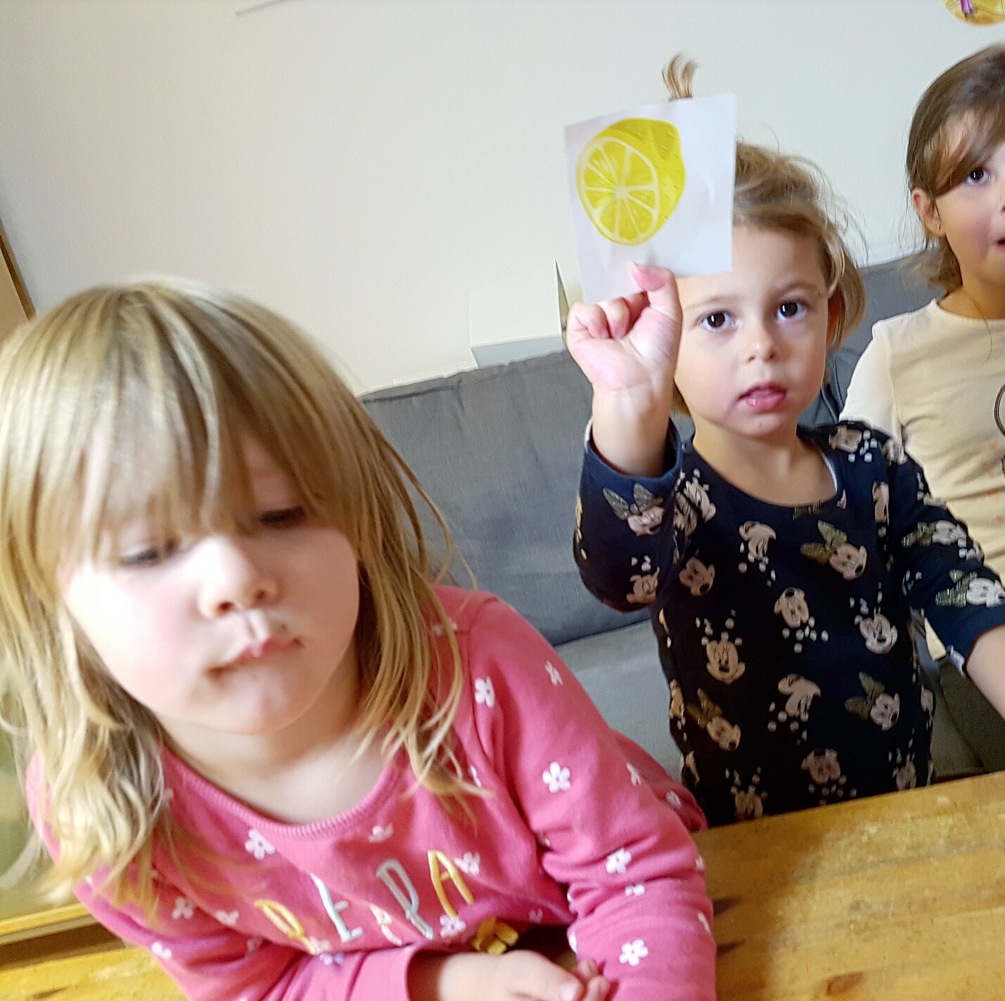 Bild från DinVinguide