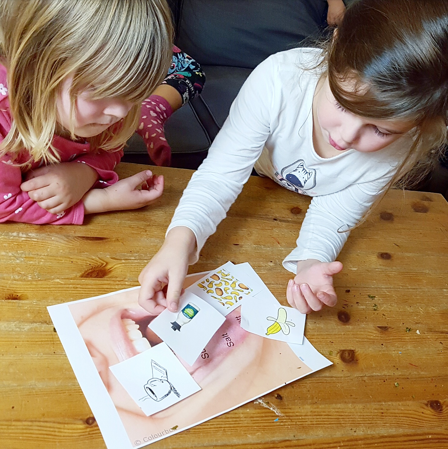 Bild från DinVinguide