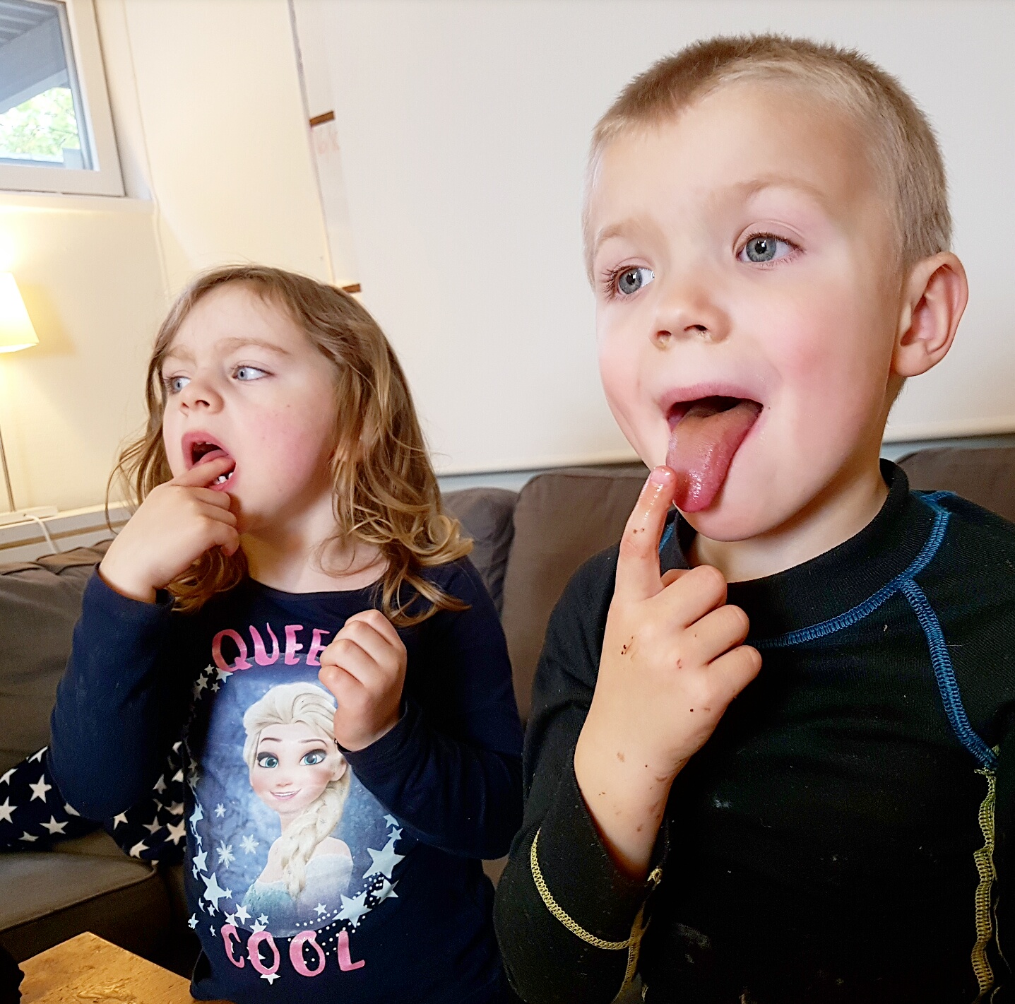 Bild från DinVinguide