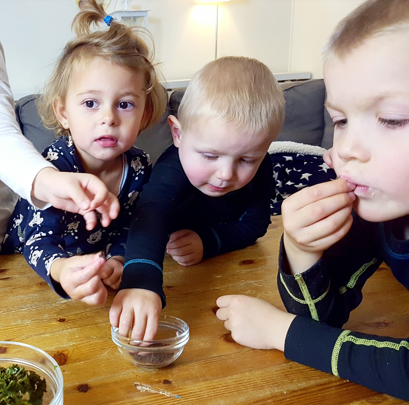 Bild från DinVinguide