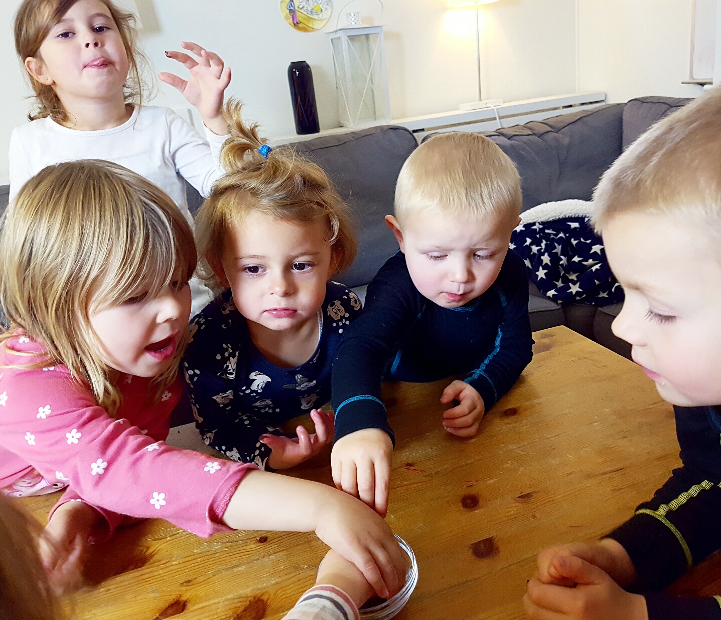 Bild från DinVinguide