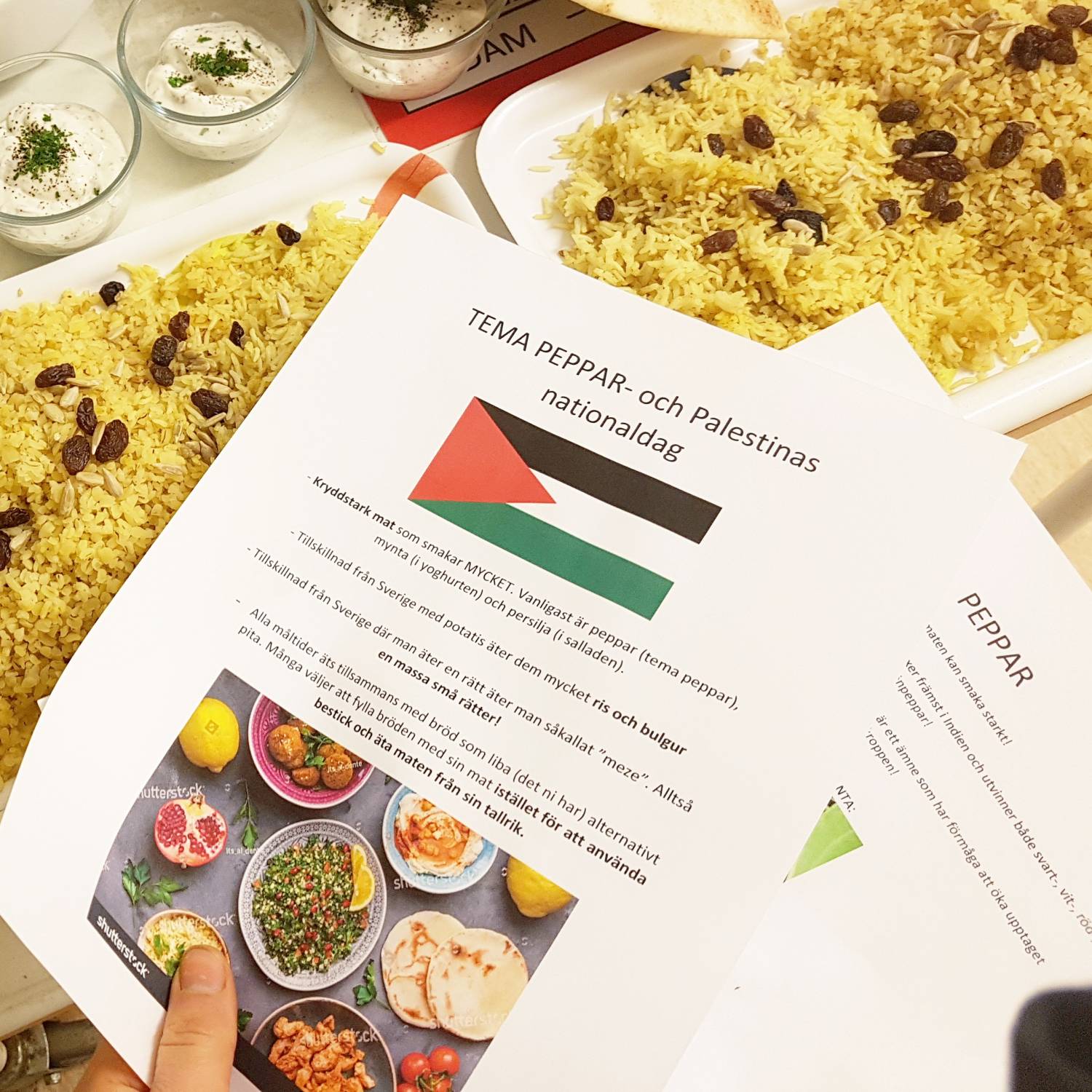 Bild från DinVinguide