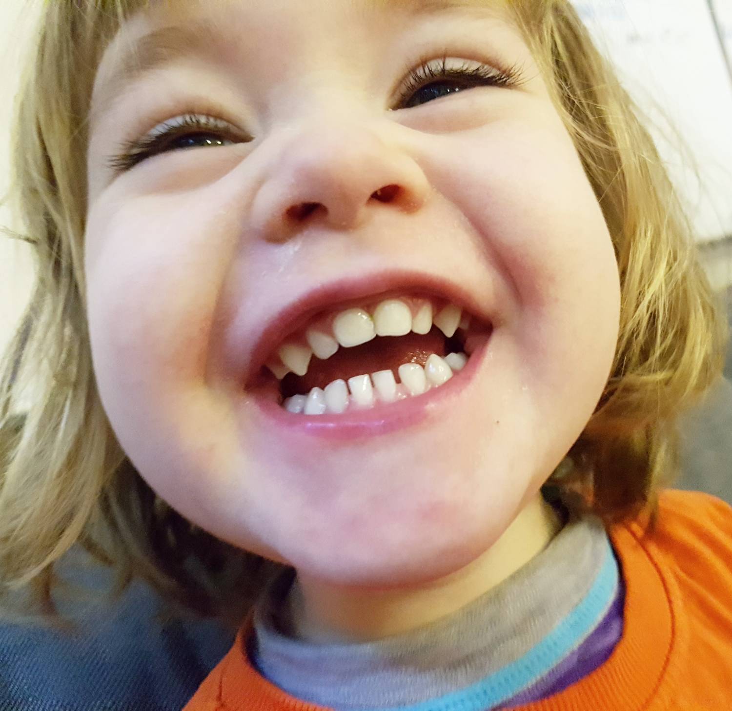 Bild från DinVinguide