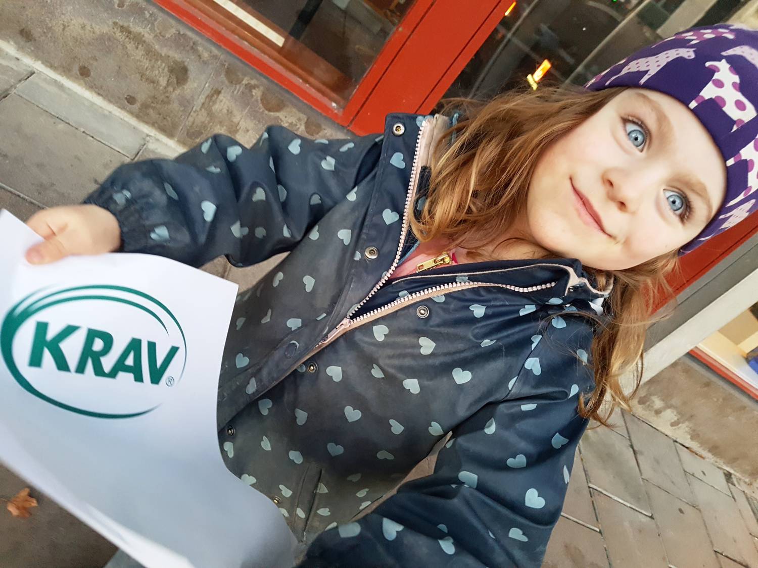 Bild från DinVinguide