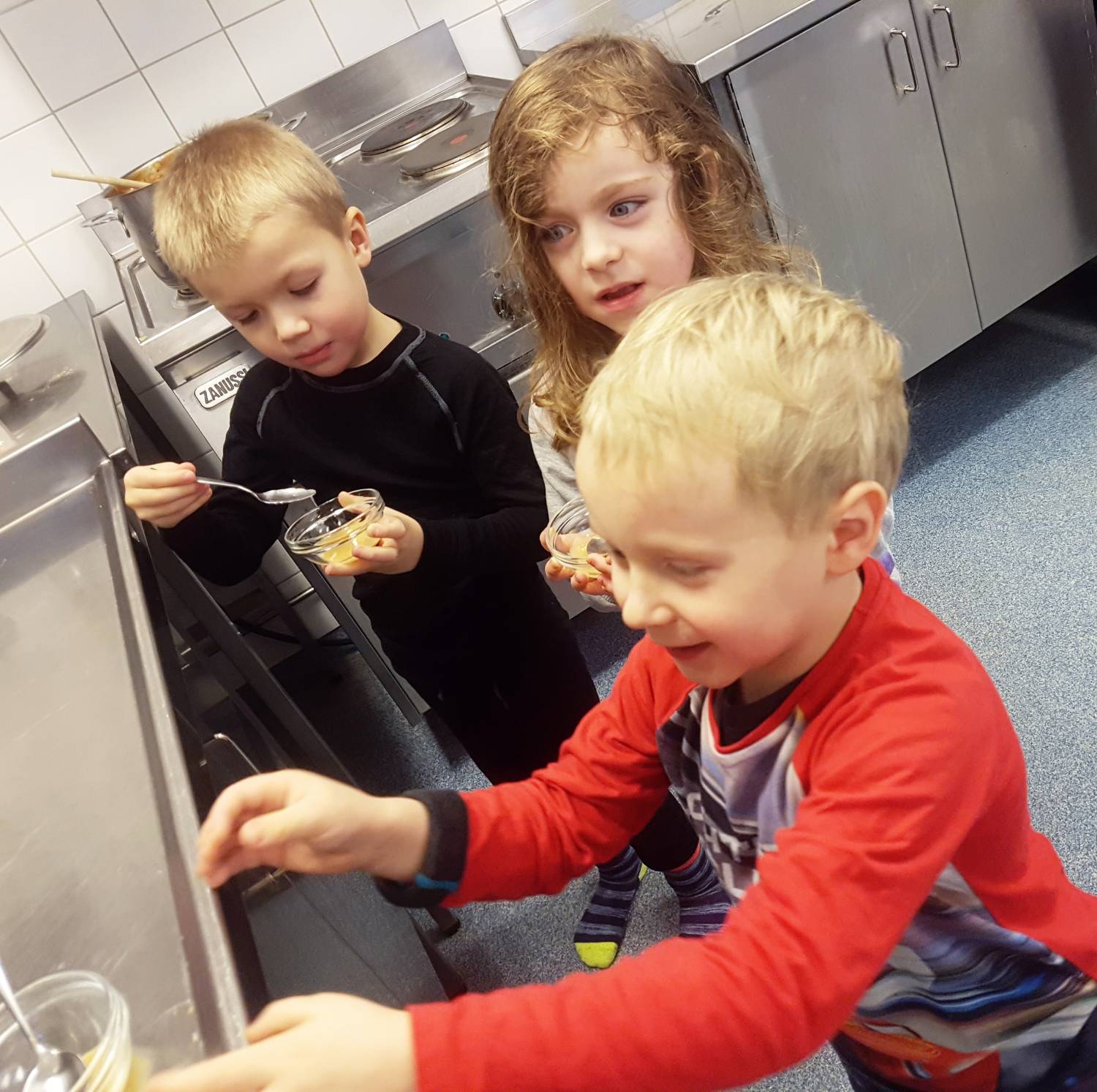 Bild från DinVinguide