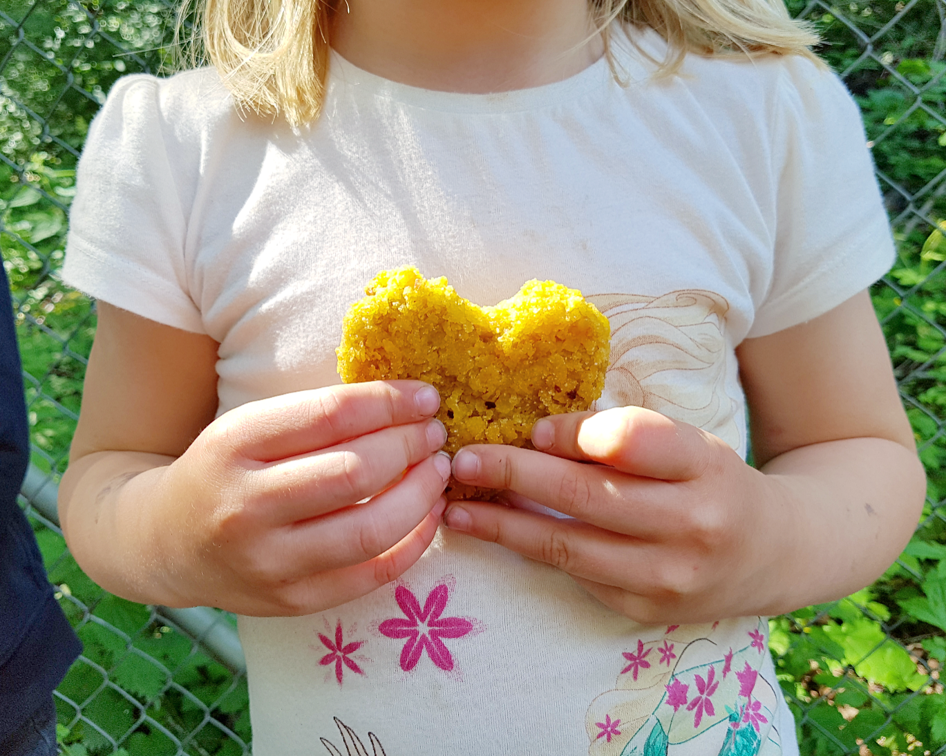 Bild från DinVinguide