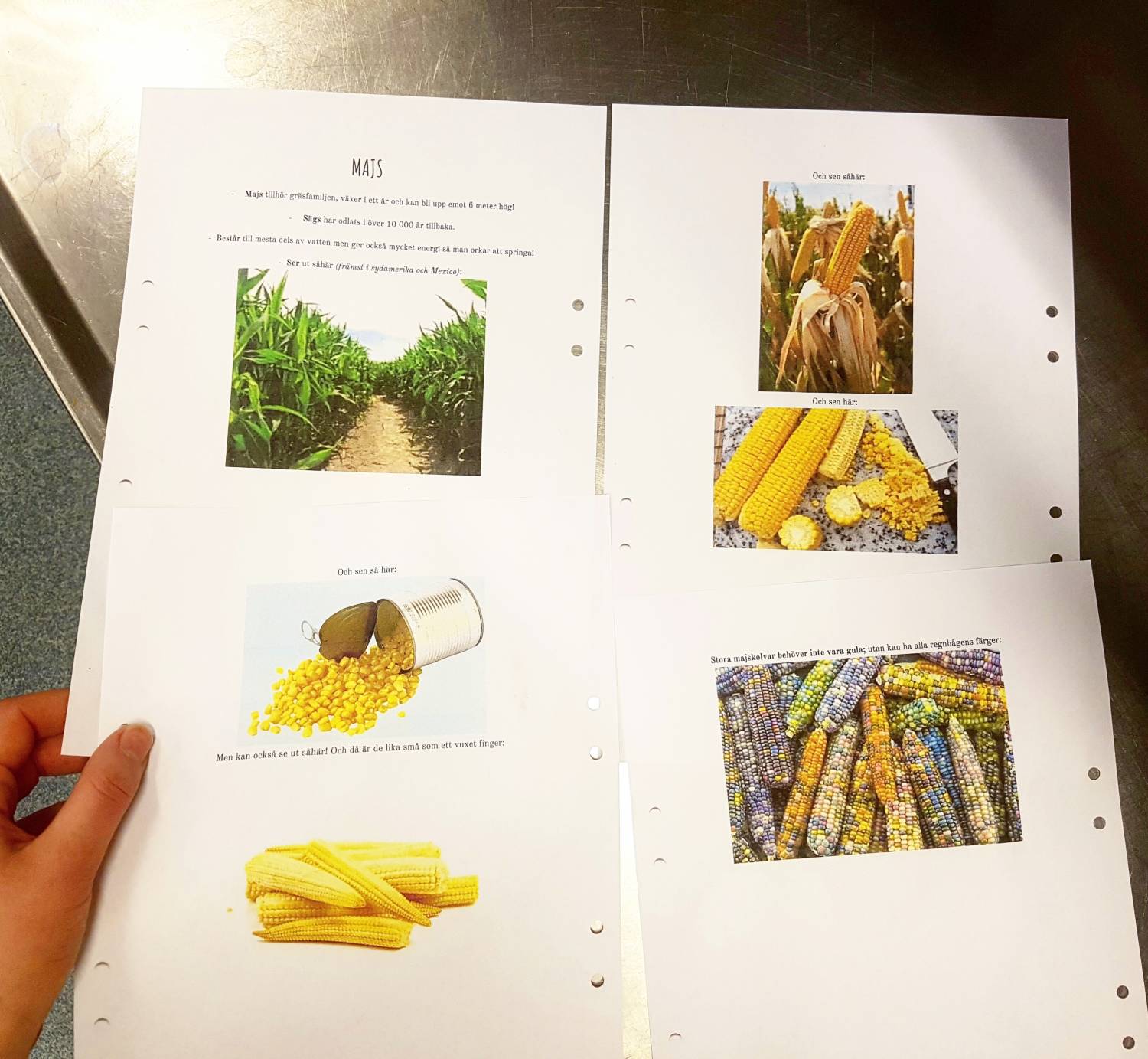 Bild från DinVinguide