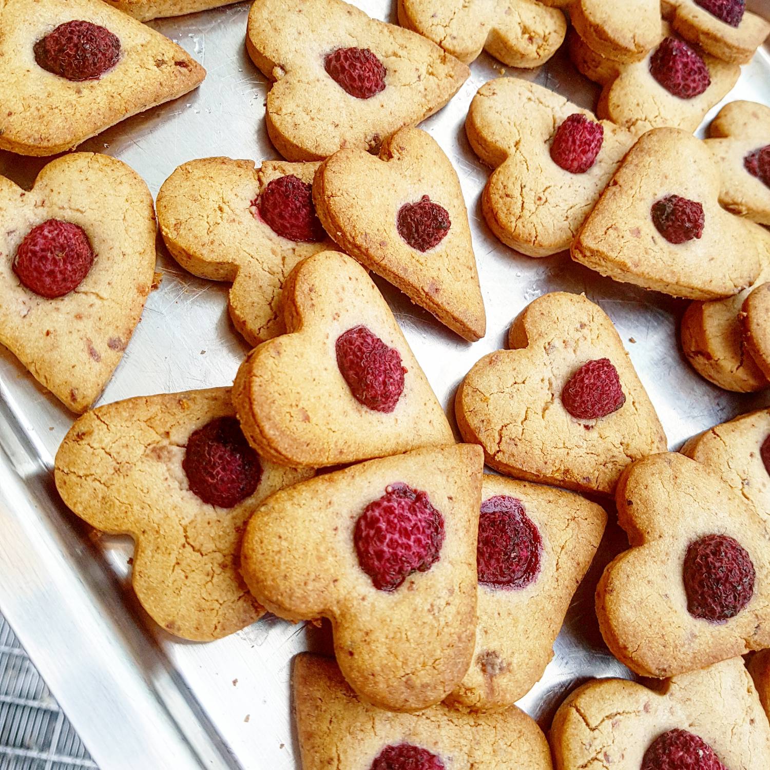 Bild från DinVinguide