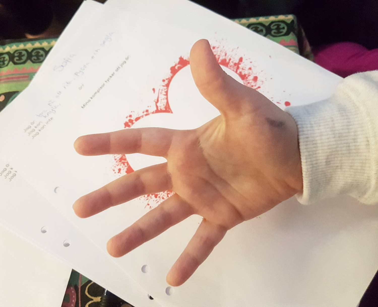 Bild från DinVinguide