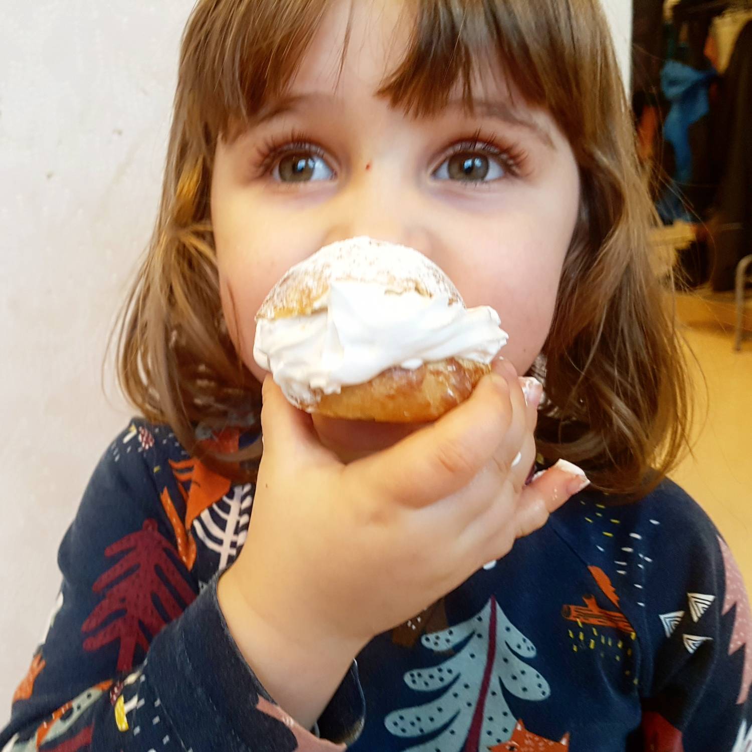 Bild från DinVinguide