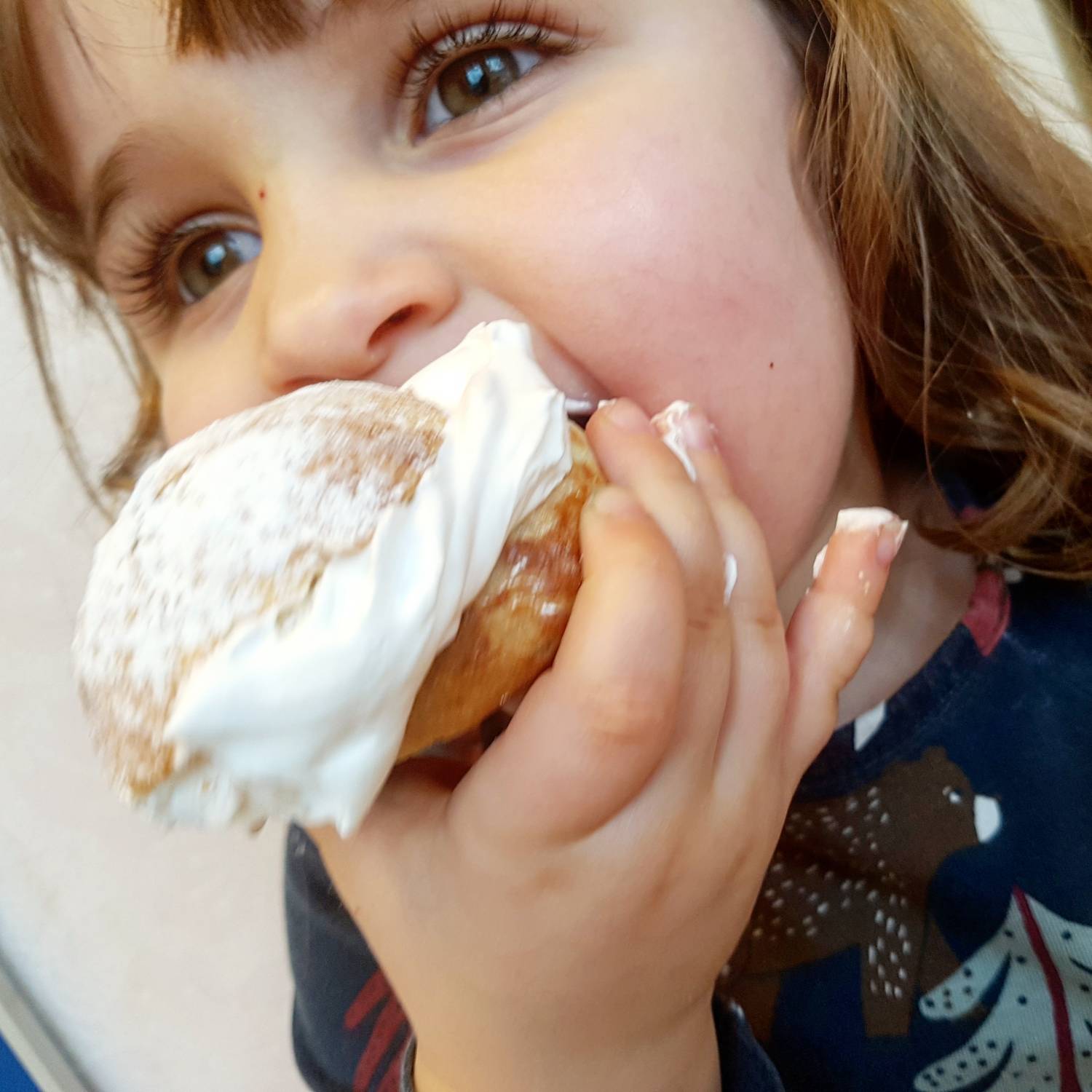 Bild från DinVinguide