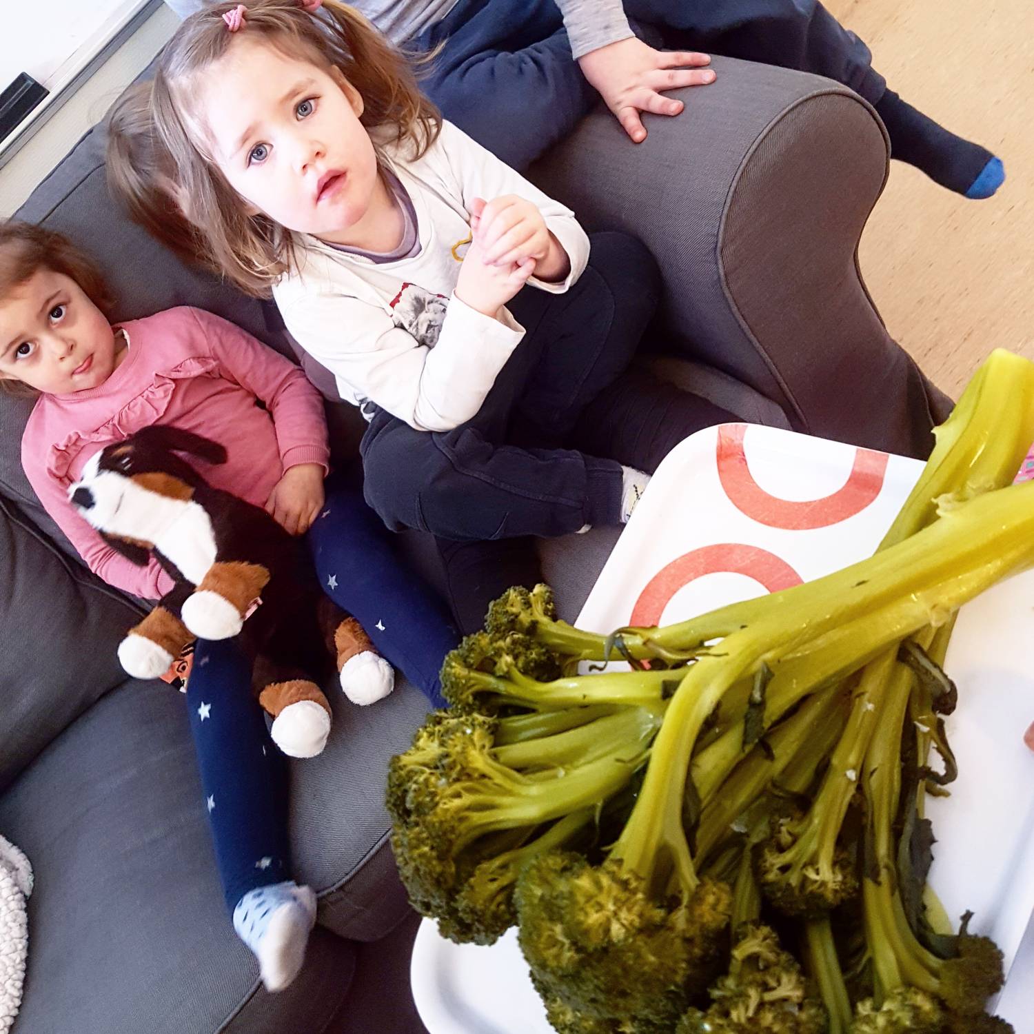 Bild från DinVinguide