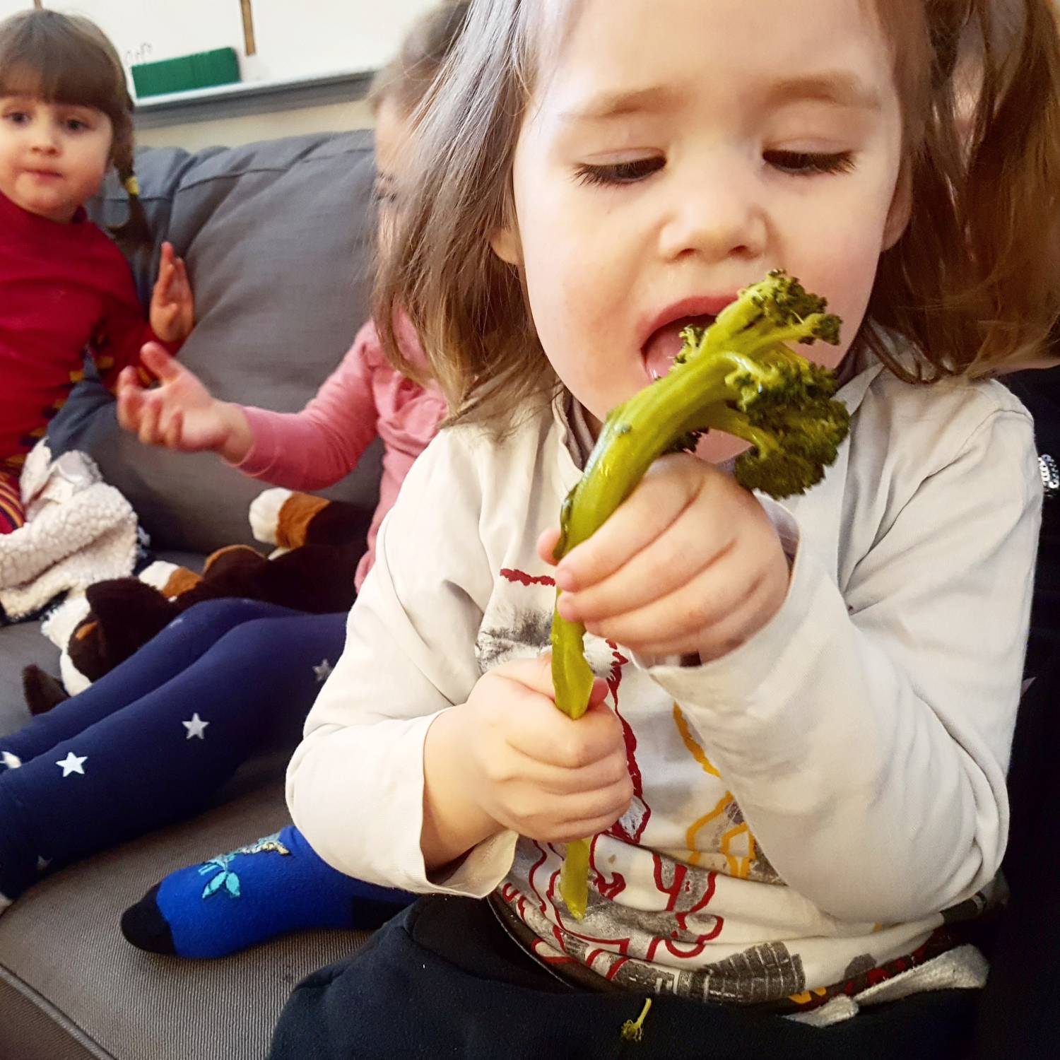 Bild från DinVinguide